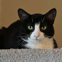 Thumbnail photo of Jerry #1