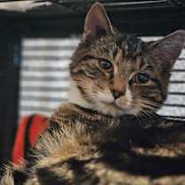 Thumbnail photo of Dean #2