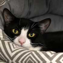 Thumbnail photo of Jerry #4