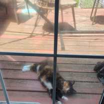 Thumbnail photo of Bonny #4