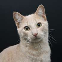 Thumbnail photo of Mike Wazowski #3