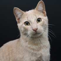 Thumbnail photo of Mike Wazowski #4