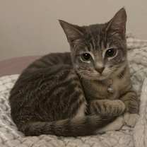 Thumbnail photo of Diva #2