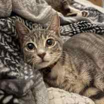 Thumbnail photo of Diva #3