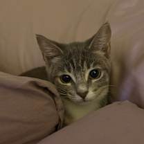 Thumbnail photo of Diva #4