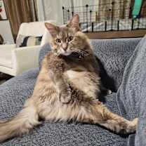 Thumbnail photo of Luna #2