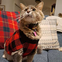 Thumbnail photo of Luna #3