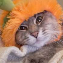 Thumbnail photo of Luna #1