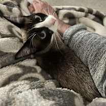 Thumbnail photo of F4 Vivian 4057 #4