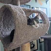 Thumbnail photo of Baby #4