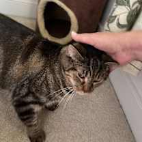 Thumbnail photo of Frieda #4