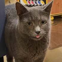 Thumbnail photo of Harriet (LE) #1