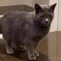 Thumbnail photo of Harriet (LE) #2