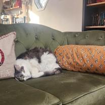 Thumbnail photo of Kya #2