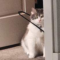 Thumbnail photo of Kya #3