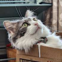 Thumbnail photo of Kya #4