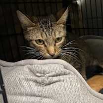 Thumbnail photo of Mary #2