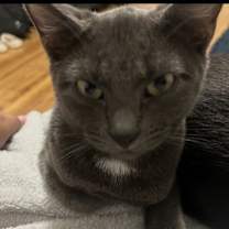 Thumbnail photo of Lucy #1