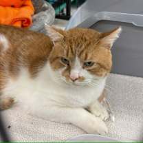 Thumbnail photo of Geoff #1