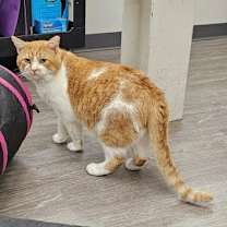 Thumbnail photo of Geoff #2