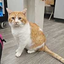 Thumbnail photo of Geoff #3