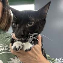 Thumbnail photo of Russell #2