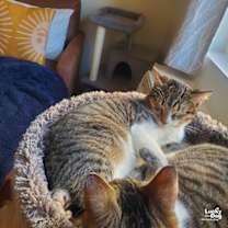 Thumbnail photo of Porter #2