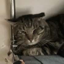 Thumbnail photo of Jace Ryder #3