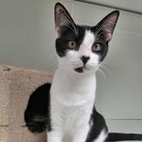 Thumbnail photo of Patrick AND Chelsea #1