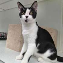 Thumbnail photo of Patrick AND Chelsea #2