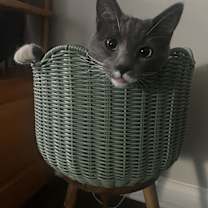 Thumbnail photo of Mary-Kate #1