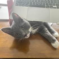 Thumbnail photo of Mary-Kate #2