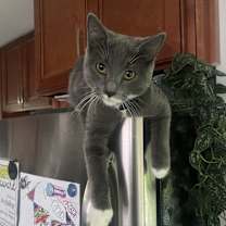 Thumbnail photo of Mary-Kate #3