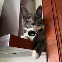 Thumbnail photo of Mary-Kate #4