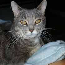 Thumbnail photo of Mystee #4