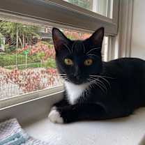 Thumbnail photo of Mama  #1