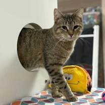 Thumbnail photo of Sun #1