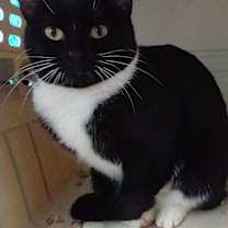 Thumbnail photo of Lily #1