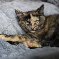 Thumbnail photo of Doc #1