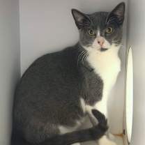 Thumbnail photo of Mister Ralph #1