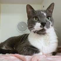 Thumbnail photo of Kelly #2