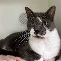 Thumbnail photo of Kelly #3