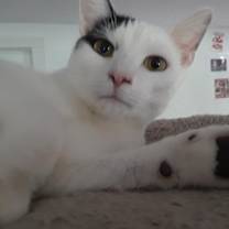 Thumbnail photo of Workin' for the Weekend #1