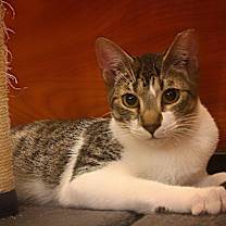 Thumbnail photo of Dante #1