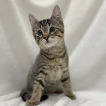 Thumbnail photo of Bjorn #3