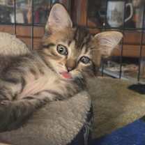 Thumbnail photo of Ghost Pepper #1