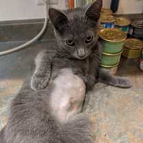 Thumbnail photo of Kenna #2