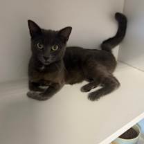 Thumbnail photo of Selena #2