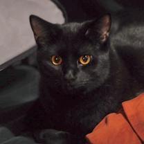 Thumbnail photo of Ash and Indy #3