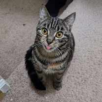 Thumbnail photo of 1025-51 Beryl #2